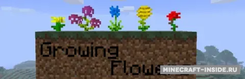 Growing Flowers