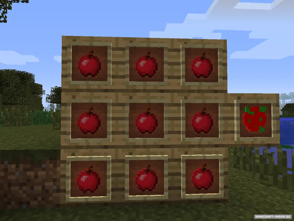 Condensed Foods — Minecraft mod, rasm 6