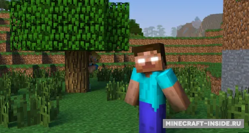 Never Say Nether — Minecraft mod, rasm 1