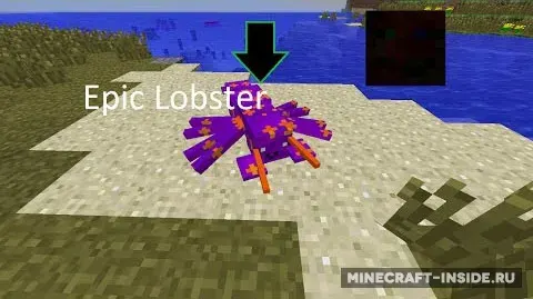 Lobster
