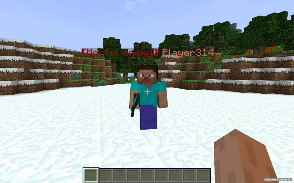 PlayerTag — Minecraft mod, rasm 4