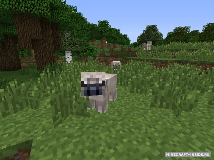 Pug Life — Minecraft mod, rasm 2