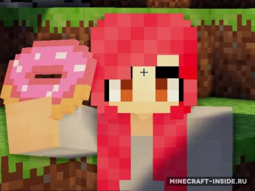 The Donut — Minecraft mod, rasm 1