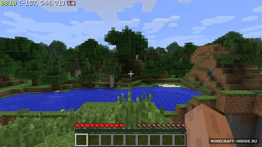 Zyin's HUD — Minecraft mod, rasm 4