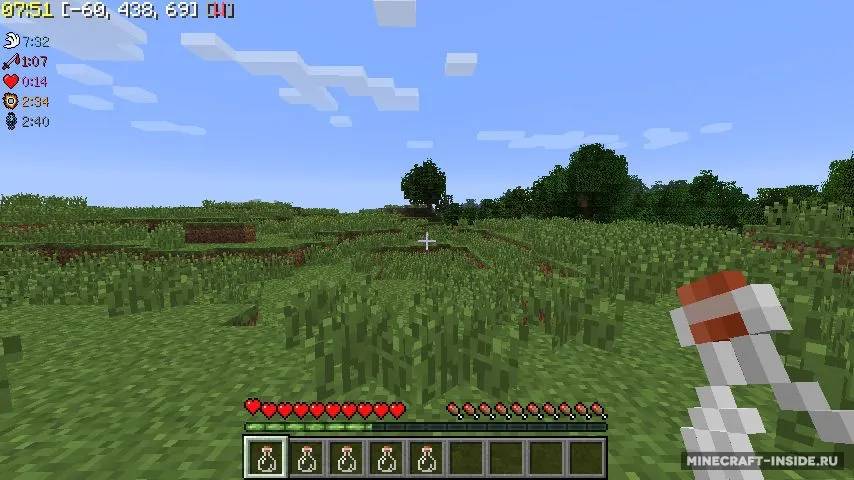Zyin's HUD — Minecraft mod, rasm 7