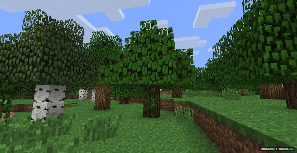 CocoaCraft — Minecraft mod, rasm 4