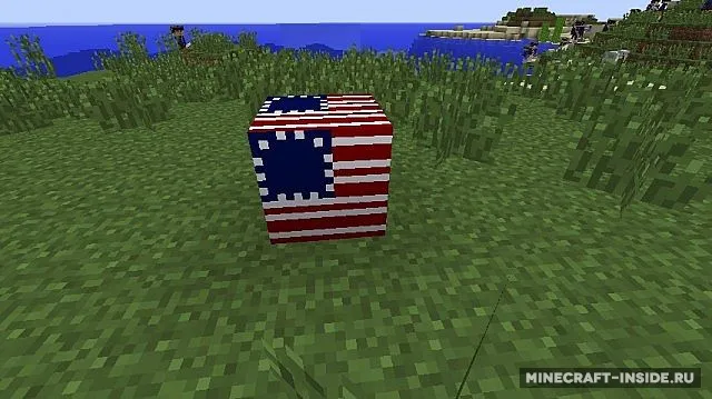 American Revolution — Minecraft mod, rasm 2
