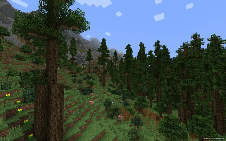 Realistic World Gen — Minecraft mod, rasm 6