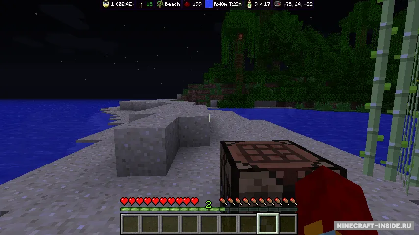 MoreInfo — Minecraft mod, rasm 2
