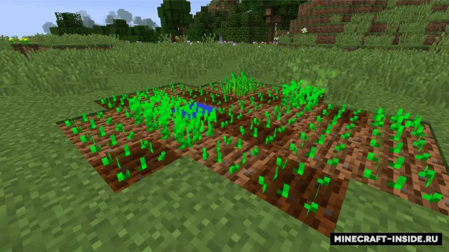 Nature's Aura — Minecraft mod, rasm 6