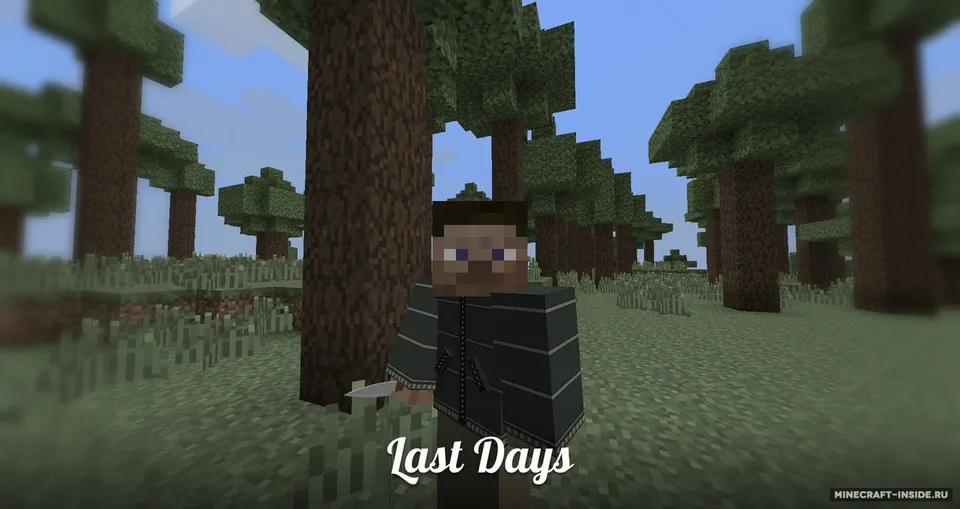 Last Days — Minecraft mod, rasm 8