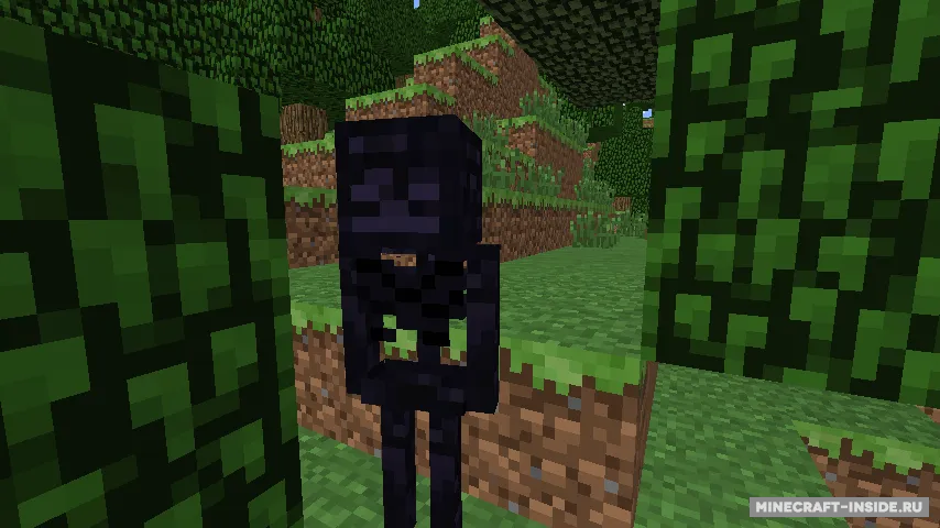 Mo’ Skeletons — Minecraft mod, rasm 6
