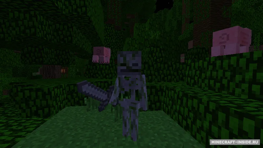 Mo’ Skeletons — Minecraft mod, rasm 8