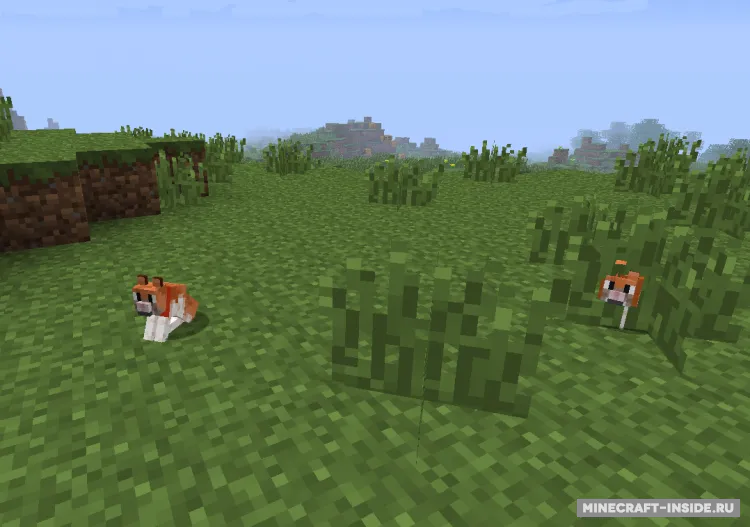 Invincible Hamster — Minecraft mod, rasm 2