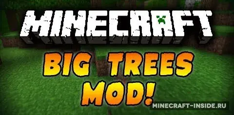 BigTrees by Karob