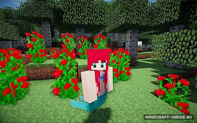 Mermaid Tail — Minecraft mod, rasm 2