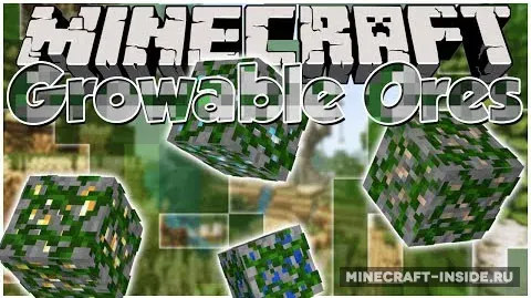 Oreganic