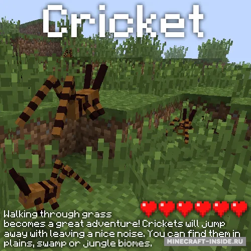 More Nature — Minecraft mod, rasm 3
