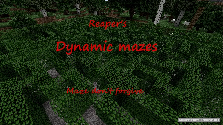 Dynamic Mazes — Minecraft mod, rasm 2