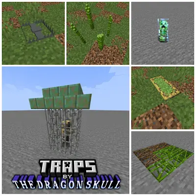 TheDragon's Traps