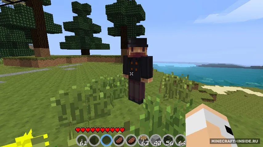 Herobrine — Minecraft mod, rasm 4