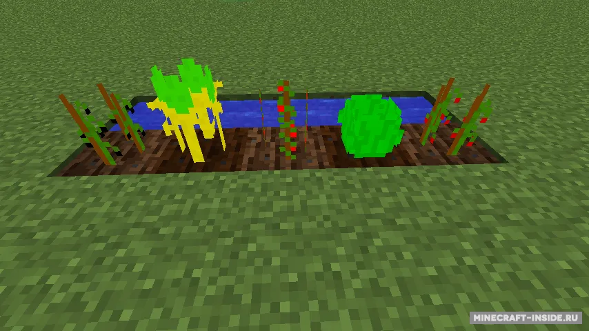 MoarFood — Minecraft mod, rasm 3