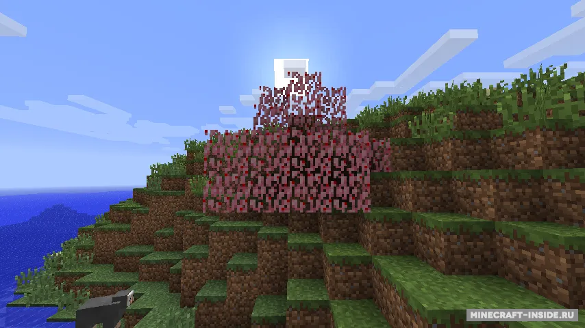 MoarFood — Minecraft mod, rasm 5