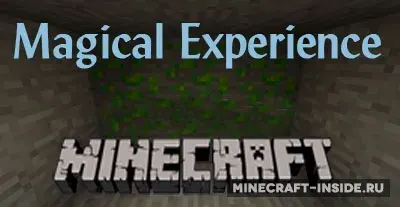Magical Experience
