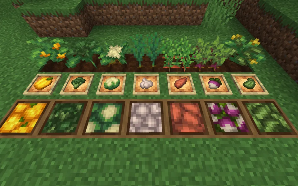 Veggies Delight — Minecraft mod, rasm 2
