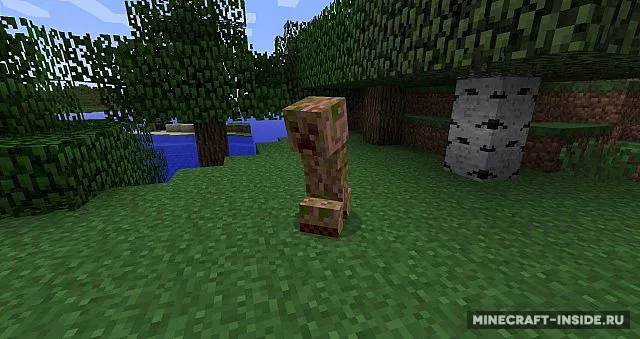 DiscoCreeper — Minecraft mod, rasm 2