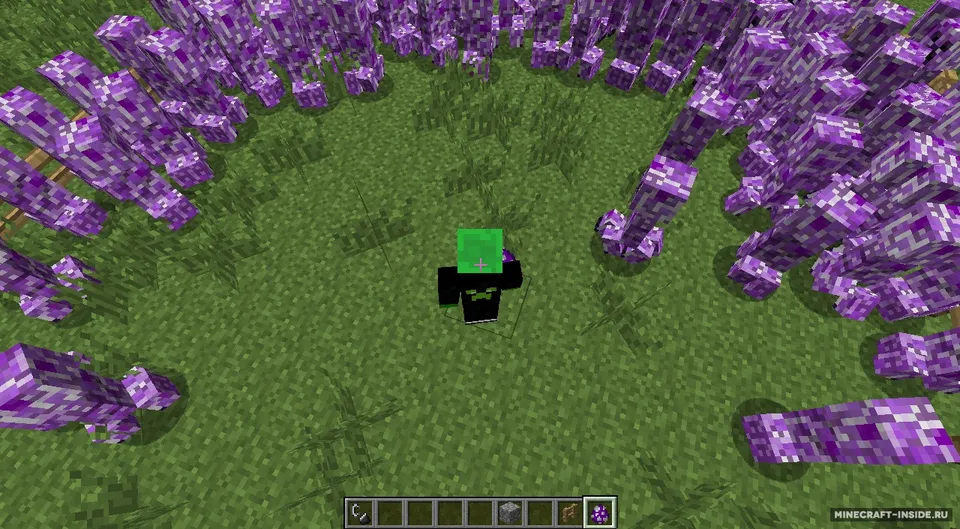 Inverse Creepers — Minecraft mod, rasm 3