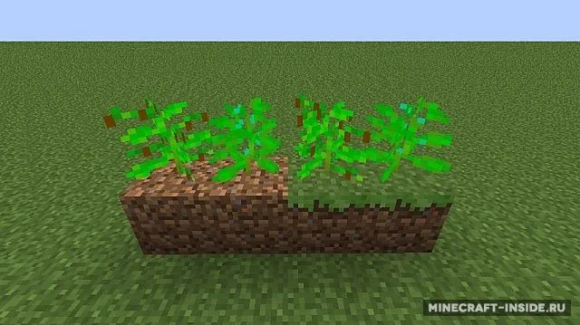 Mo’ Drinks — Minecraft mod, rasm 4