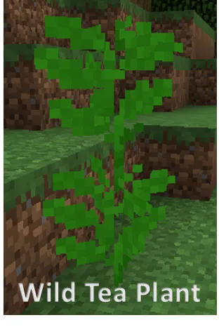 Sweet Tea — Minecraft mod, rasm 2