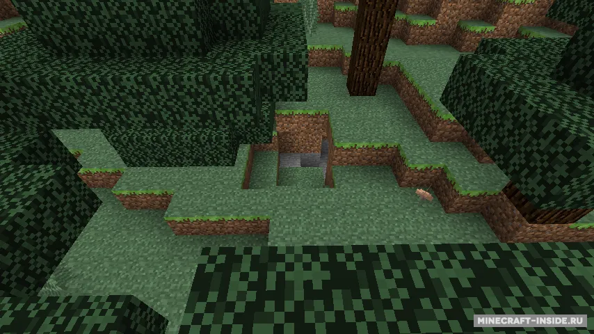 Random Biomes — Minecraft mod, rasm 4