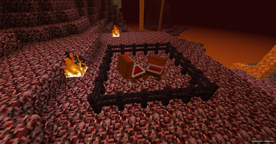 NetherX — Minecraft mod, rasm 5