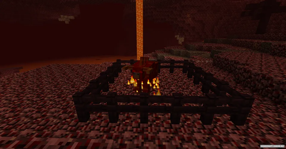 NetherX — Minecraft mod, rasm 6