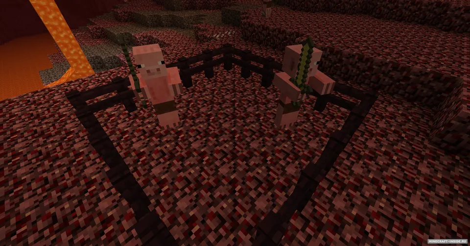 NetherX — Minecraft mod, rasm 8