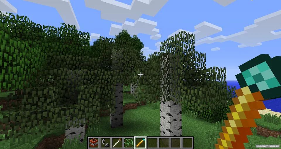 TrollStuff — Minecraft mod, rasm 2