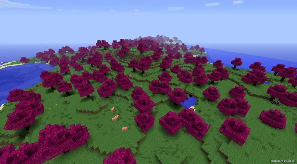 Better Biomes — Minecraft mod, rasm 3