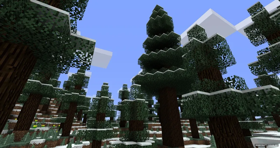 Better Biomes — Minecraft mod, rasm 6