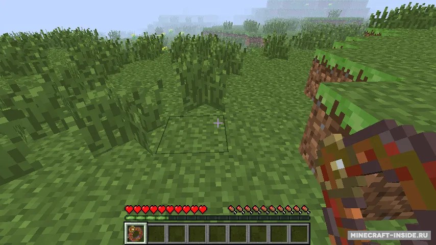 Rotten Flesh — Minecraft mod, rasm 3