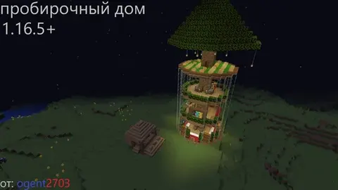 Sinov naychasi uyi