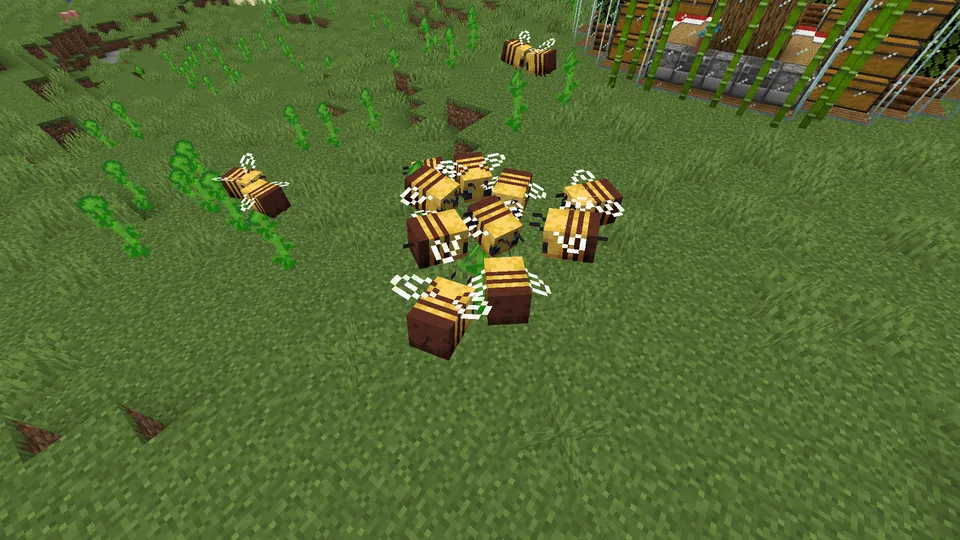 Sinov naychasi uyi — Minecraft xarita, rasm 7