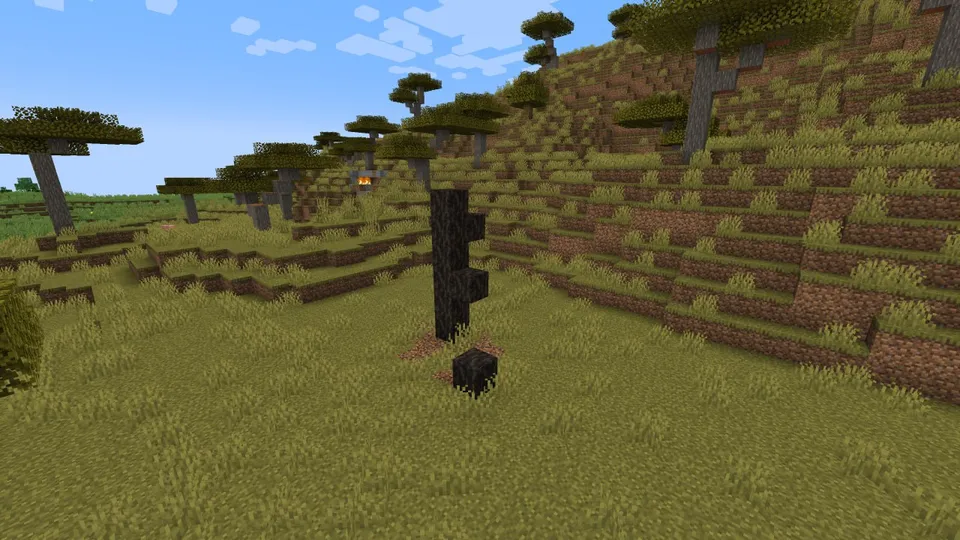 DinerMod — Minecraft mod, rasm 5