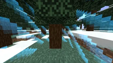 WorldBorder Challenge