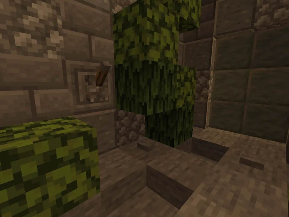 Run de rune — Minecraft xarita, rasm 2