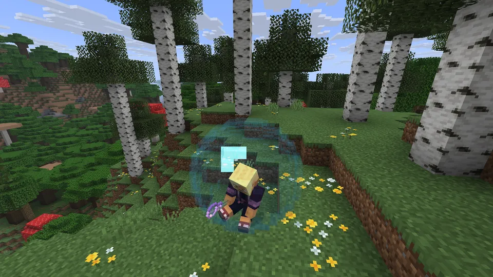 Blowing Bubbles — Minecraft mod, rasm 6