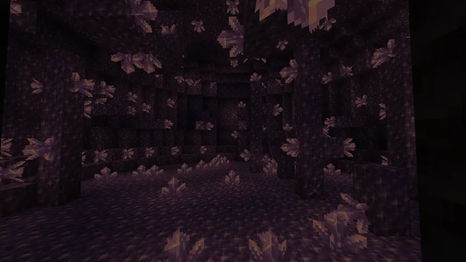 Sinov yugurishi — Minecraft xarita, rasm 4