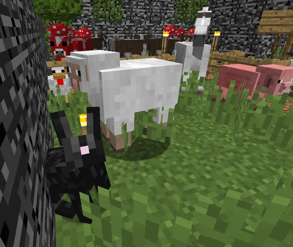 Judaaaaa eski xarita — Minecraft xarita, rasm 2