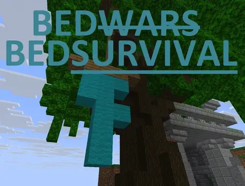 Bedsurvival